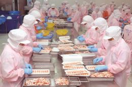 Do not forget that Korea can "beat" C / O