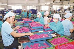 Self Certification of Origin: Challenges or Opportunities?